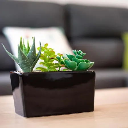 Casa Cactus *